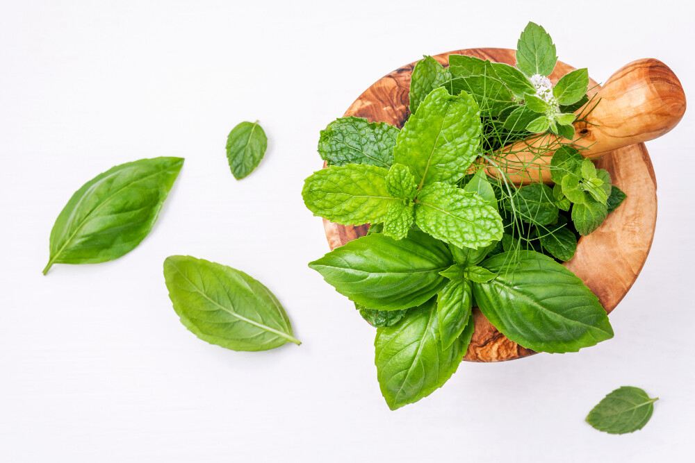 Herbs